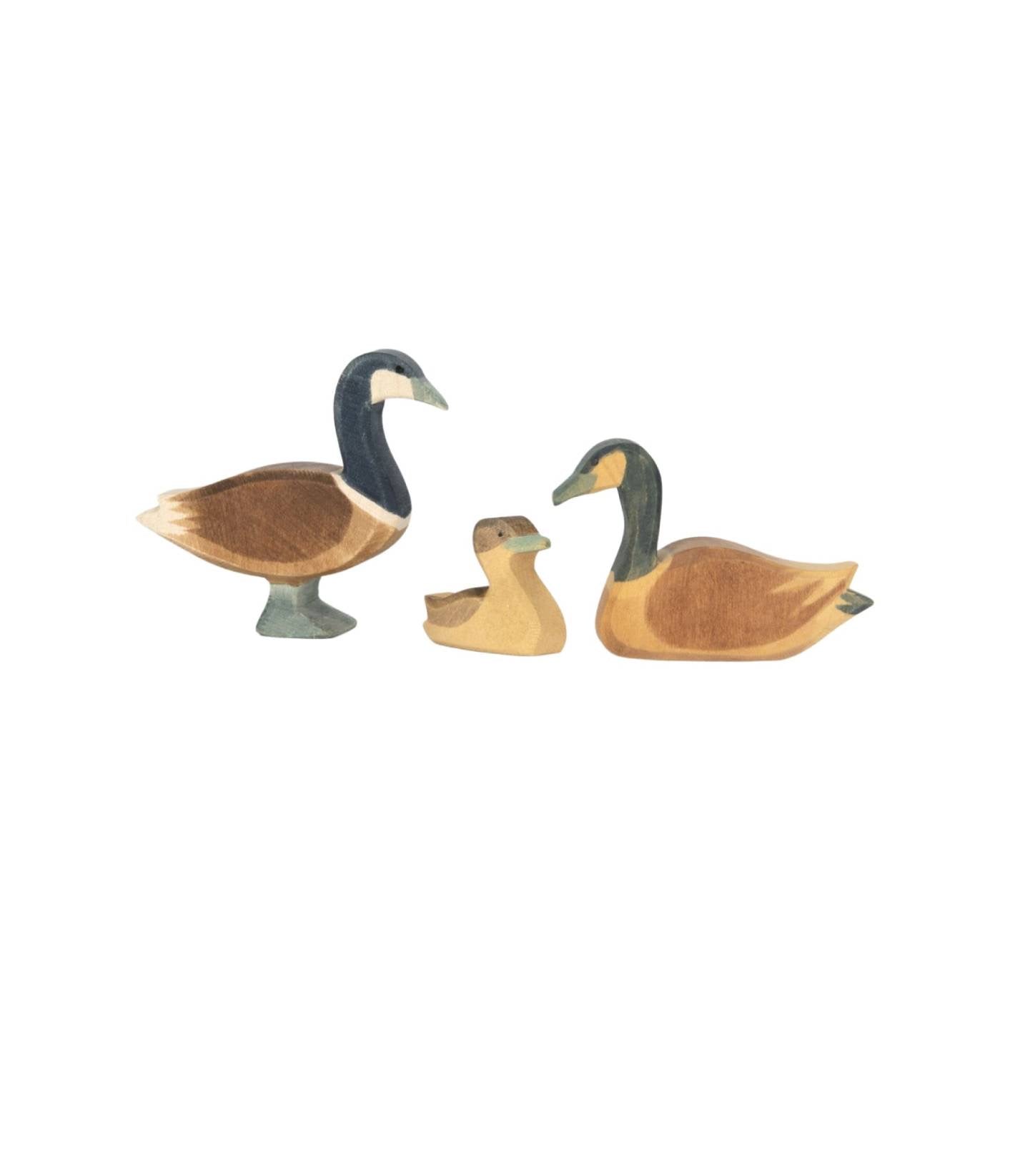 OSTHEIMER | Canadese gans staand