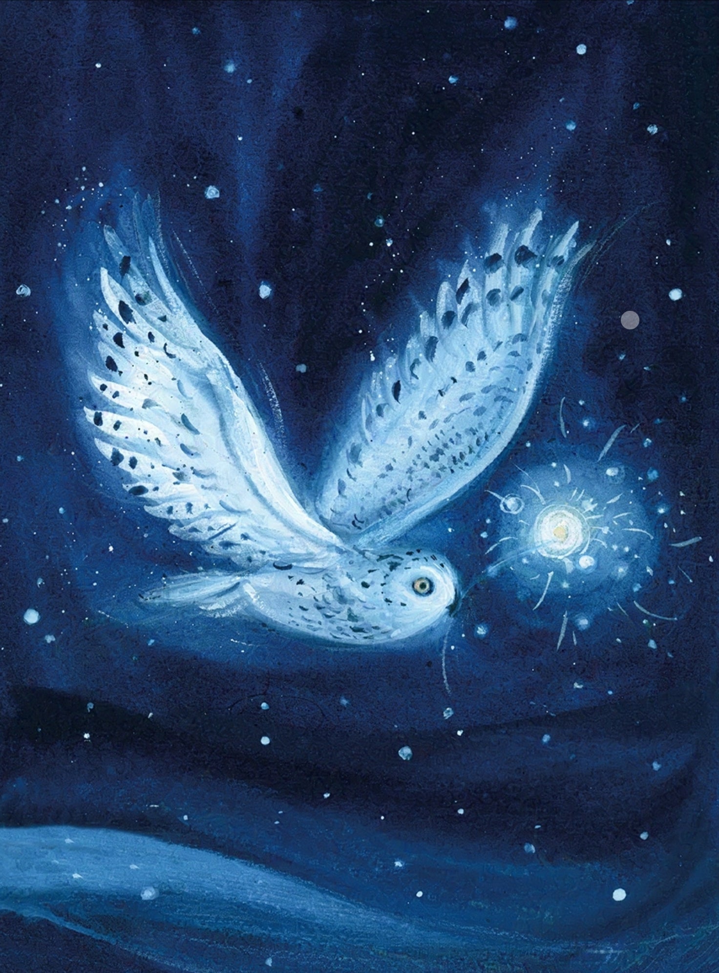 ANSICHTKAART | Snowy owl | LINDE FAAS