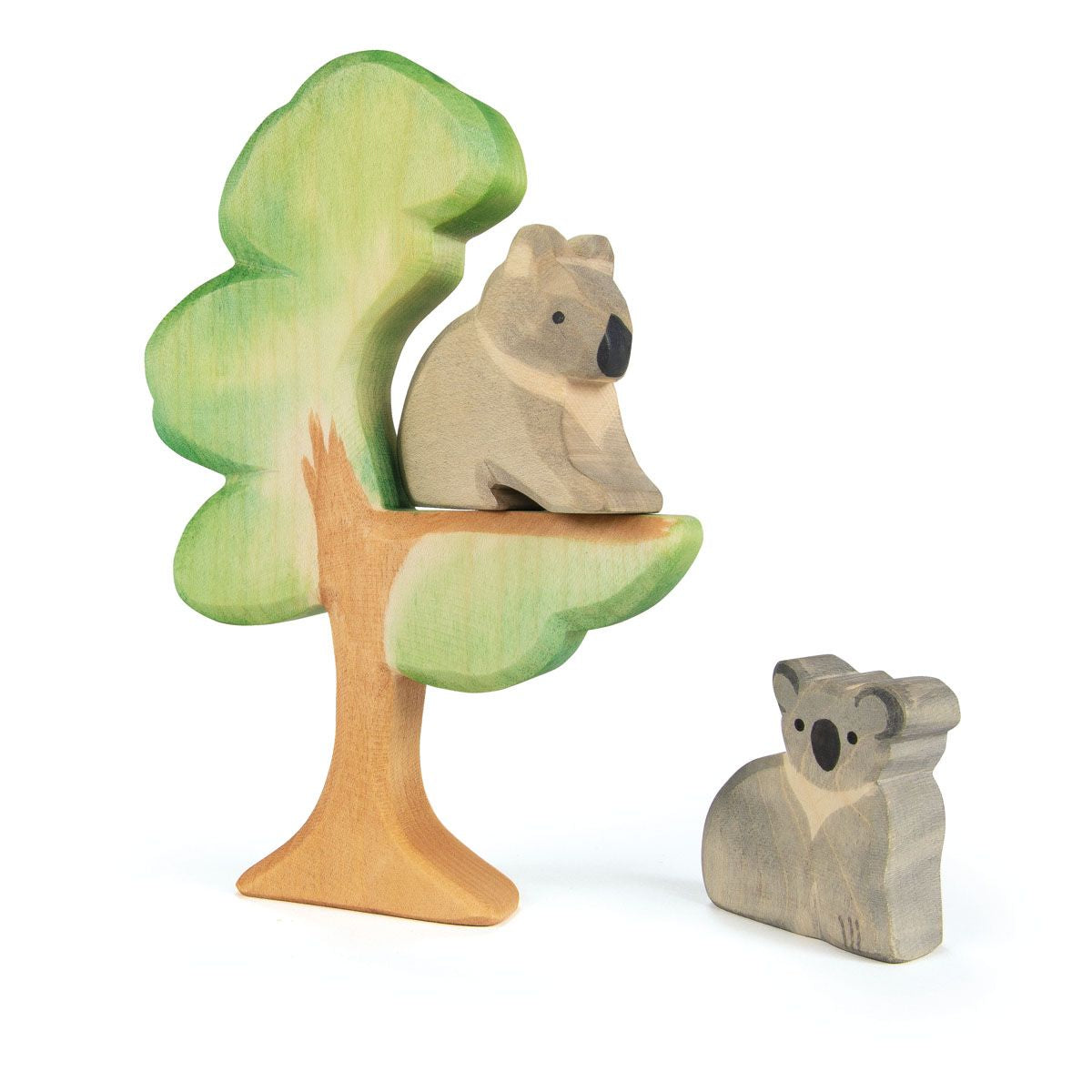 OSTHEIMER | Koala