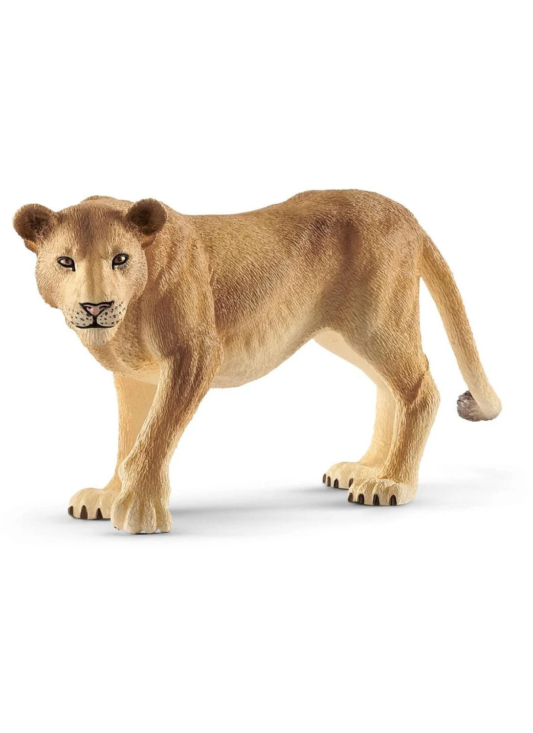 SCHLEICH | Wild Life | Leeuwin