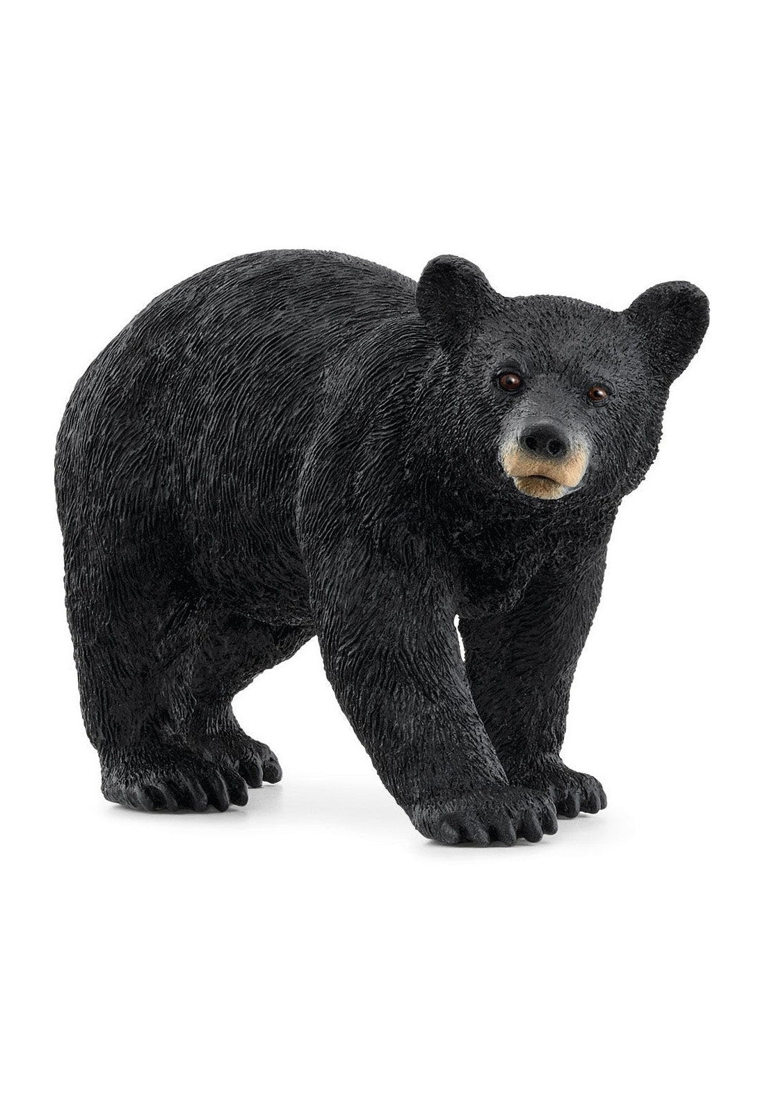SCHLEICH | Wild Life | Amerikaanse beer
