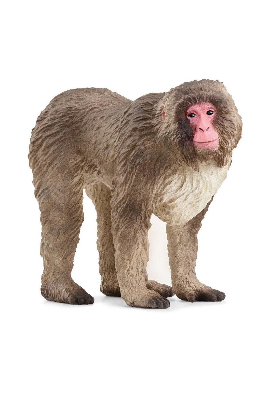 SCHLEICH | Wild Life | Japanse makaak