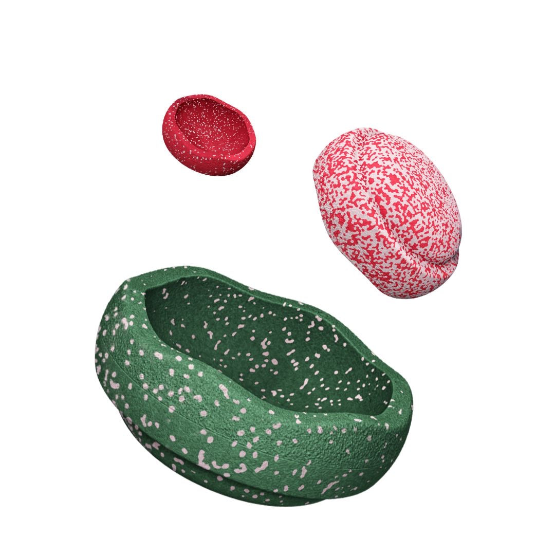 STAPELSTEIN® | Blush Special Trilogy (LIMITED EDITION)