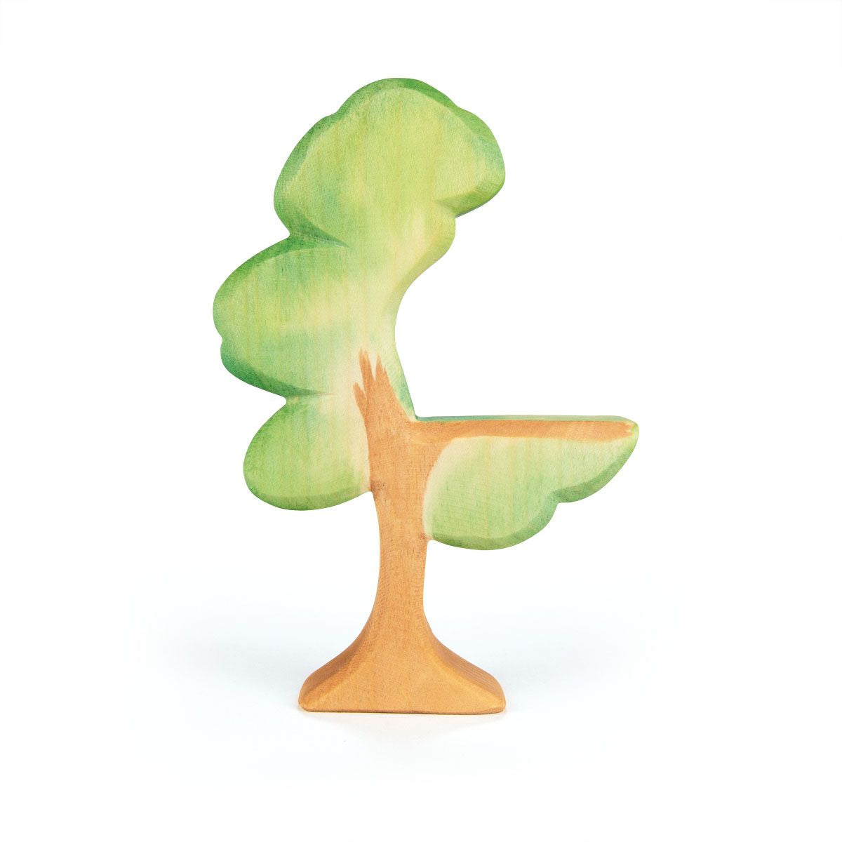 OSTHEIMER | Eucalyptus