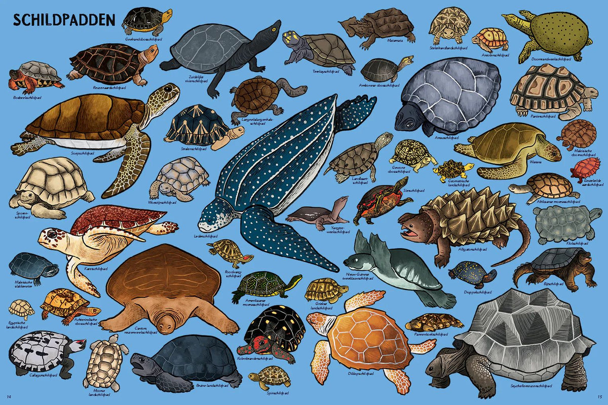 Zoveel dieren! | Marlène Normand