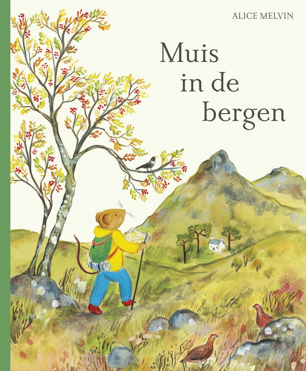 Muis in de bergen | Alice Melvin