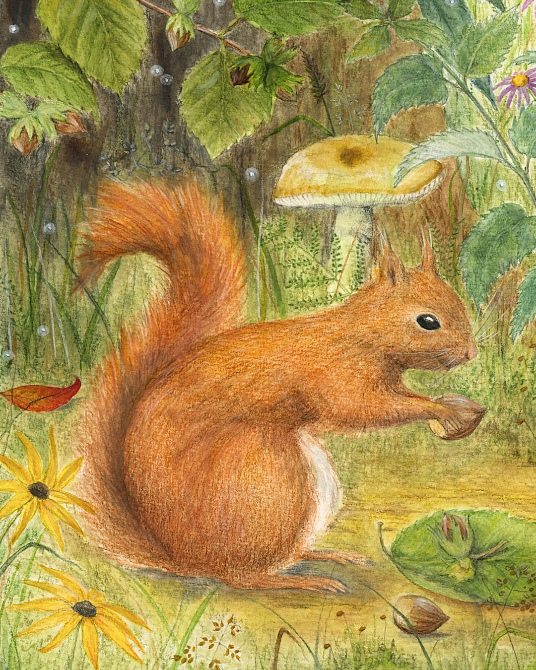 Wonderwoud | herfst 2026