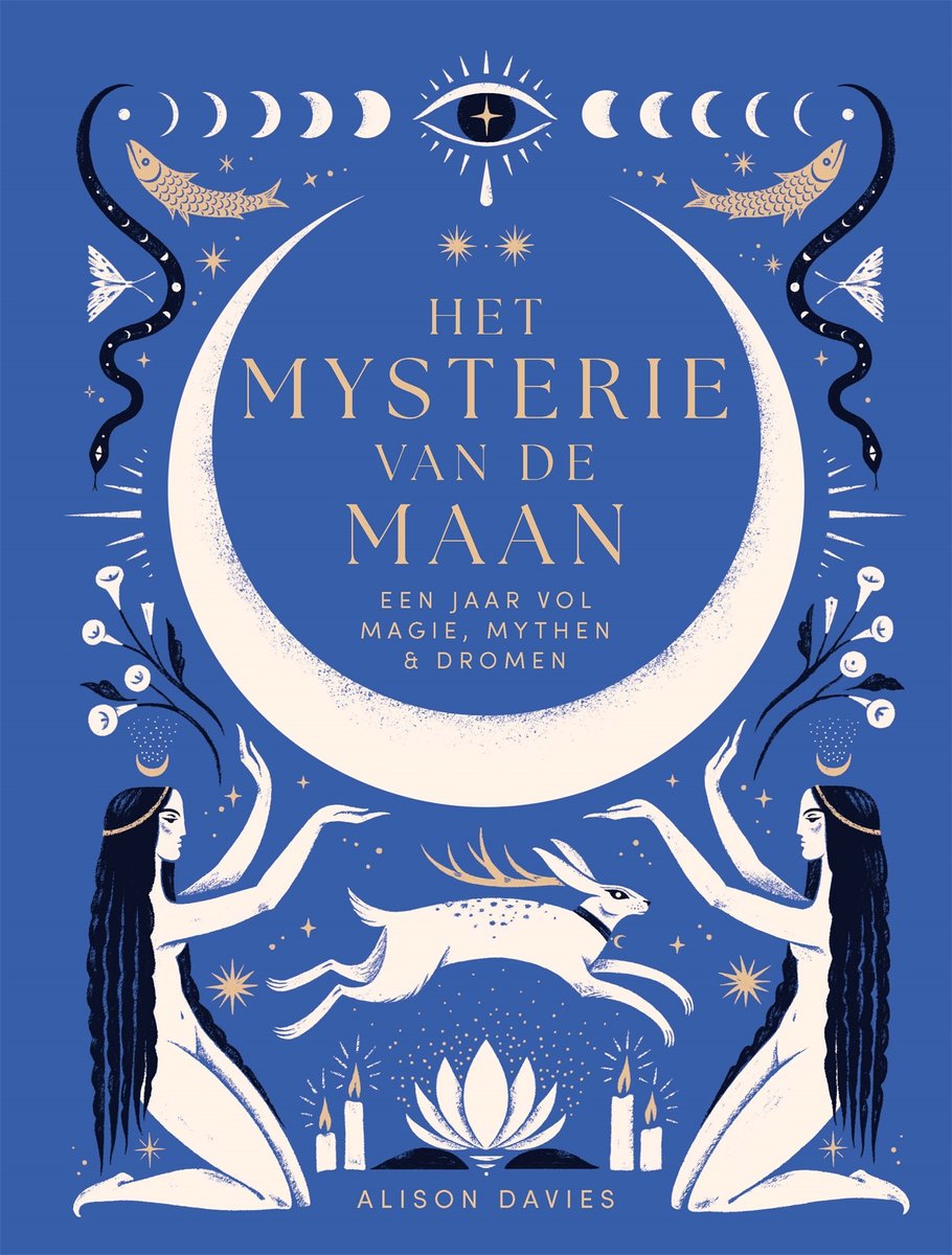 Het mysterie van de maan | Alison Davies