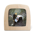 TOVERLUX | silhouet | TIJANA DRAWS | Forest Nimf