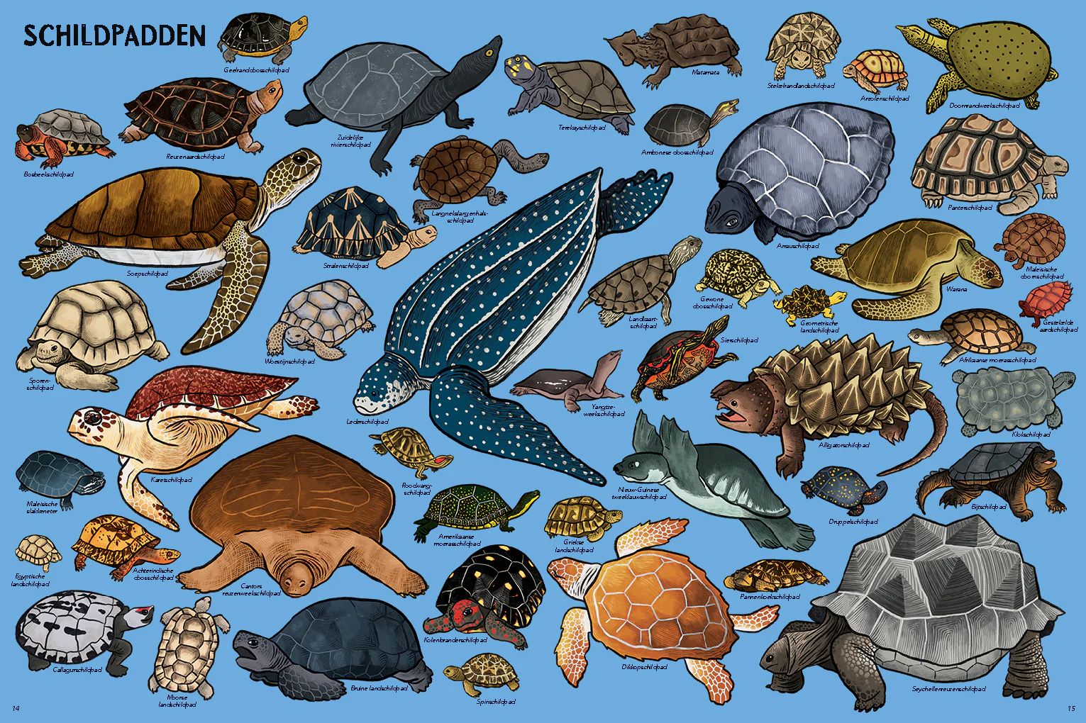 Zoveel dieren! | MARLÈNE NORMAND