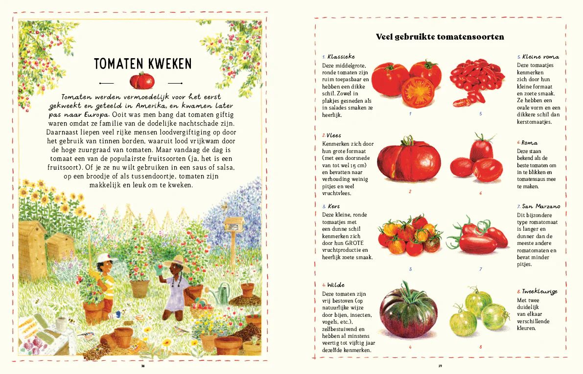 Het handboek van vergeten vaardigheden | NATALIE CROWLY & ELAINE BATISTE