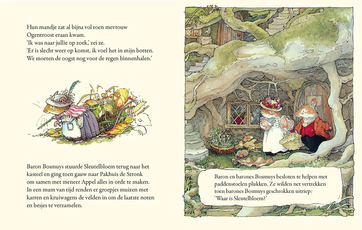 Herfstverhaal | JILL BARKLEM