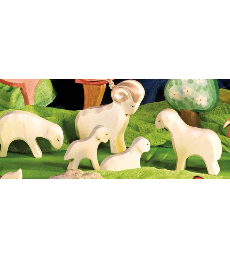 OSTHEIMER | Schaap etend